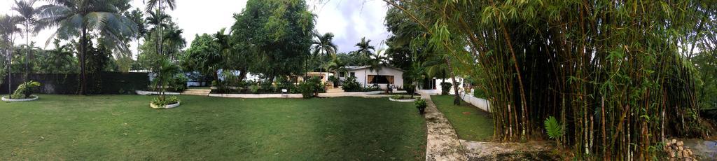 San San Tropez Hotell Port Antonio Eksteriør bilde